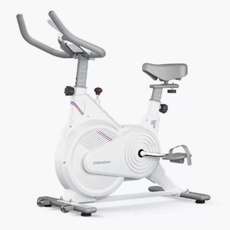Leg Home Gym Workout - Cyclette da Interno, Bici da Spinning